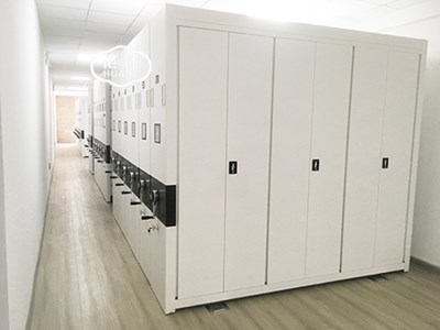 新疆輪臺(tái)縣組織部采購(gòu)智能密集架